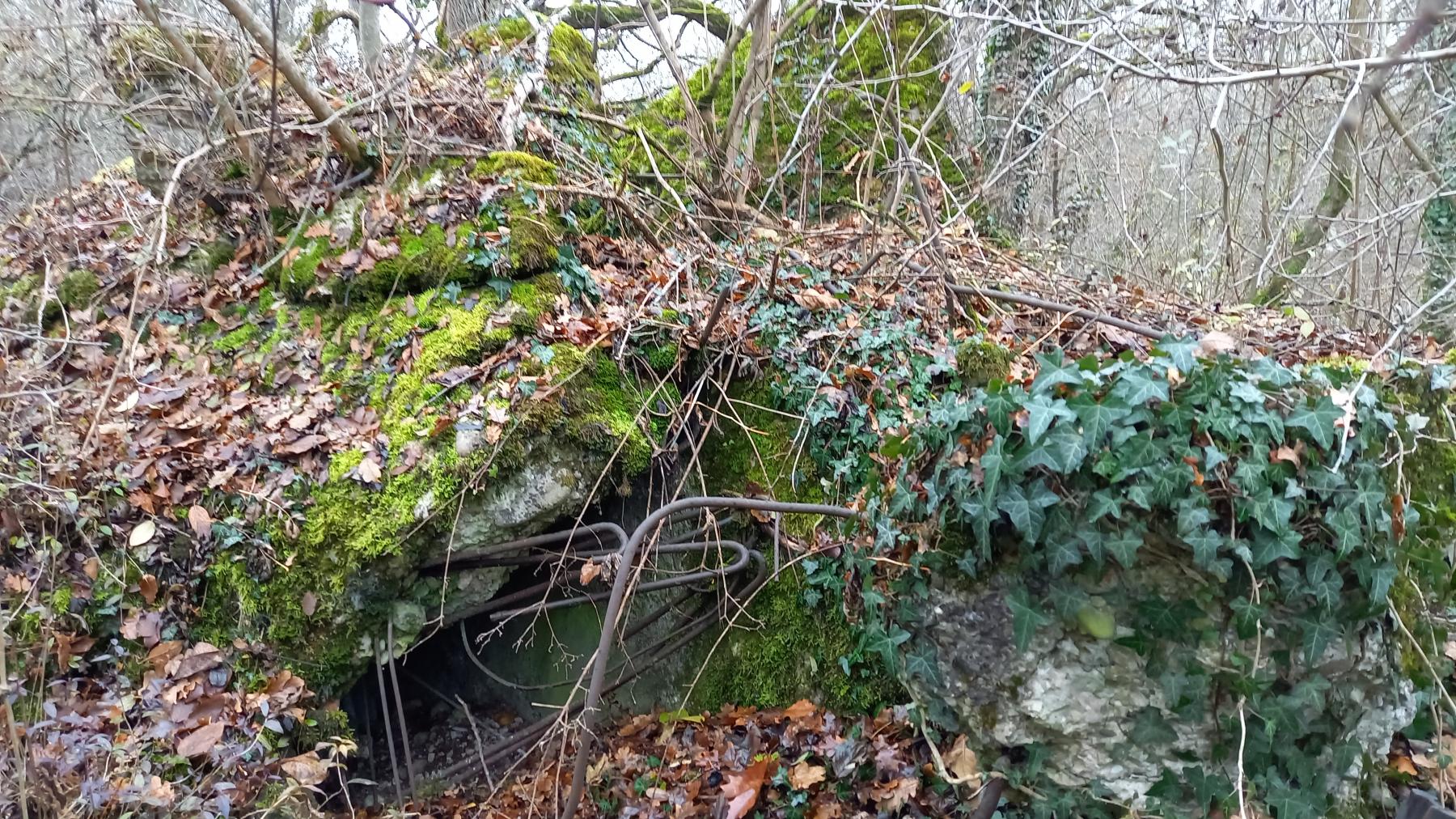 Ligne Maginot - NAMBSHEIM EST 3 - (Blockhaus de type indéterminé) -  - Nicolas MULLER