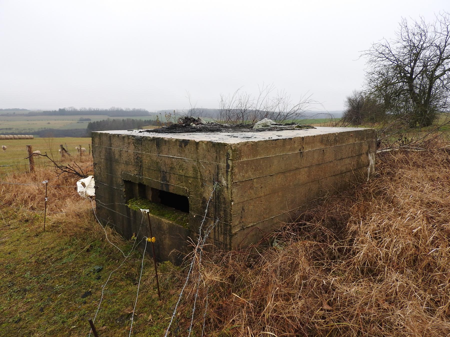 Ligne Maginot - AUF GEBELS 3 - (Blockhaus pour arme infanterie) - La façade de tir.