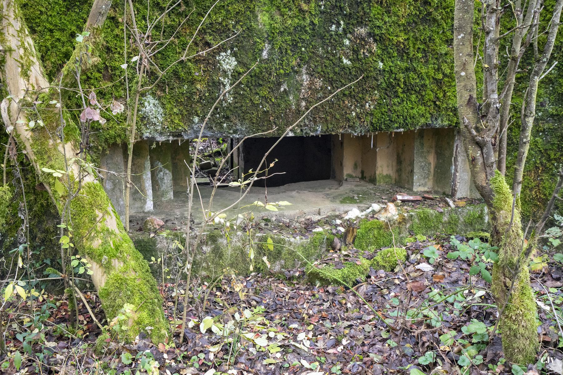 Ligne Maginot - CB294 - PESCH EST - (Blockhaus pour canon) - Le créneau pour le canon