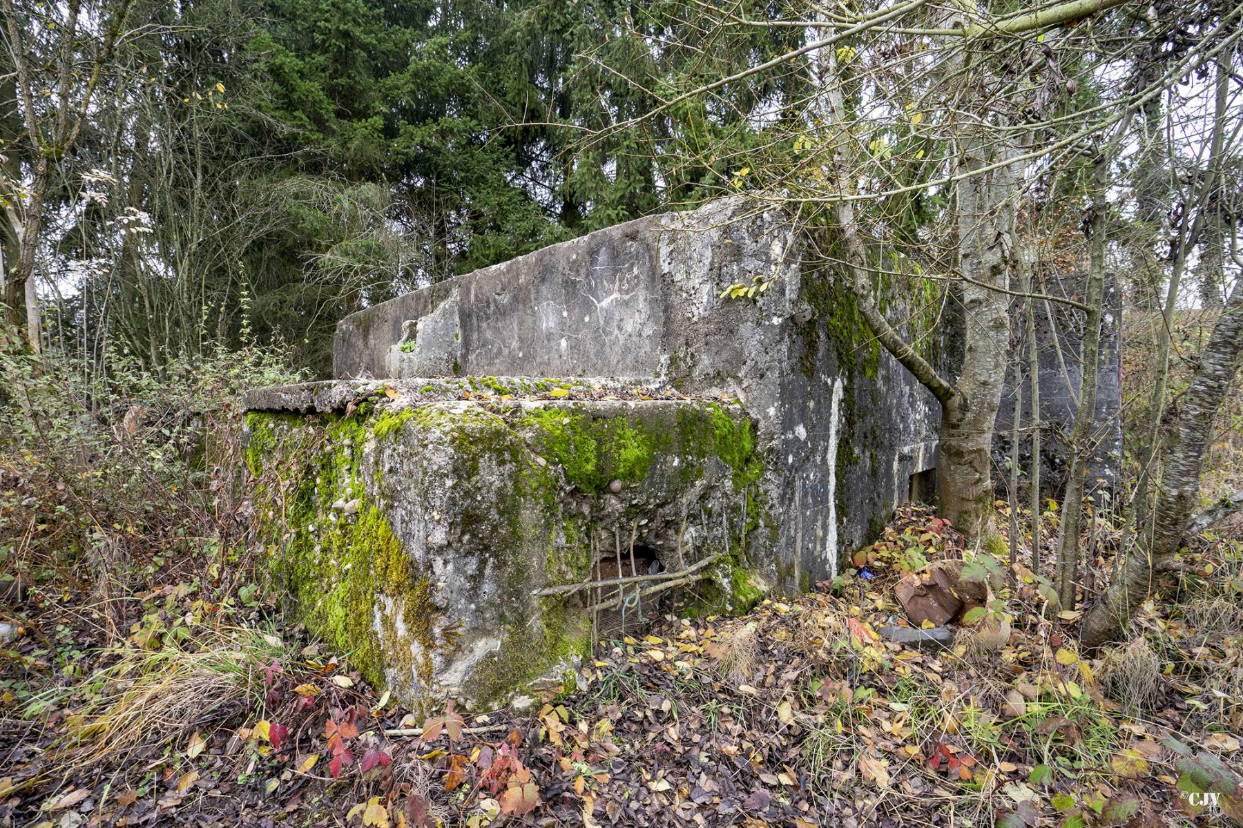 Ligne Maginot - CB286 - PESCH OUEST - (Blockhaus pour arme infanterie) - Créneau de l'annexe droit