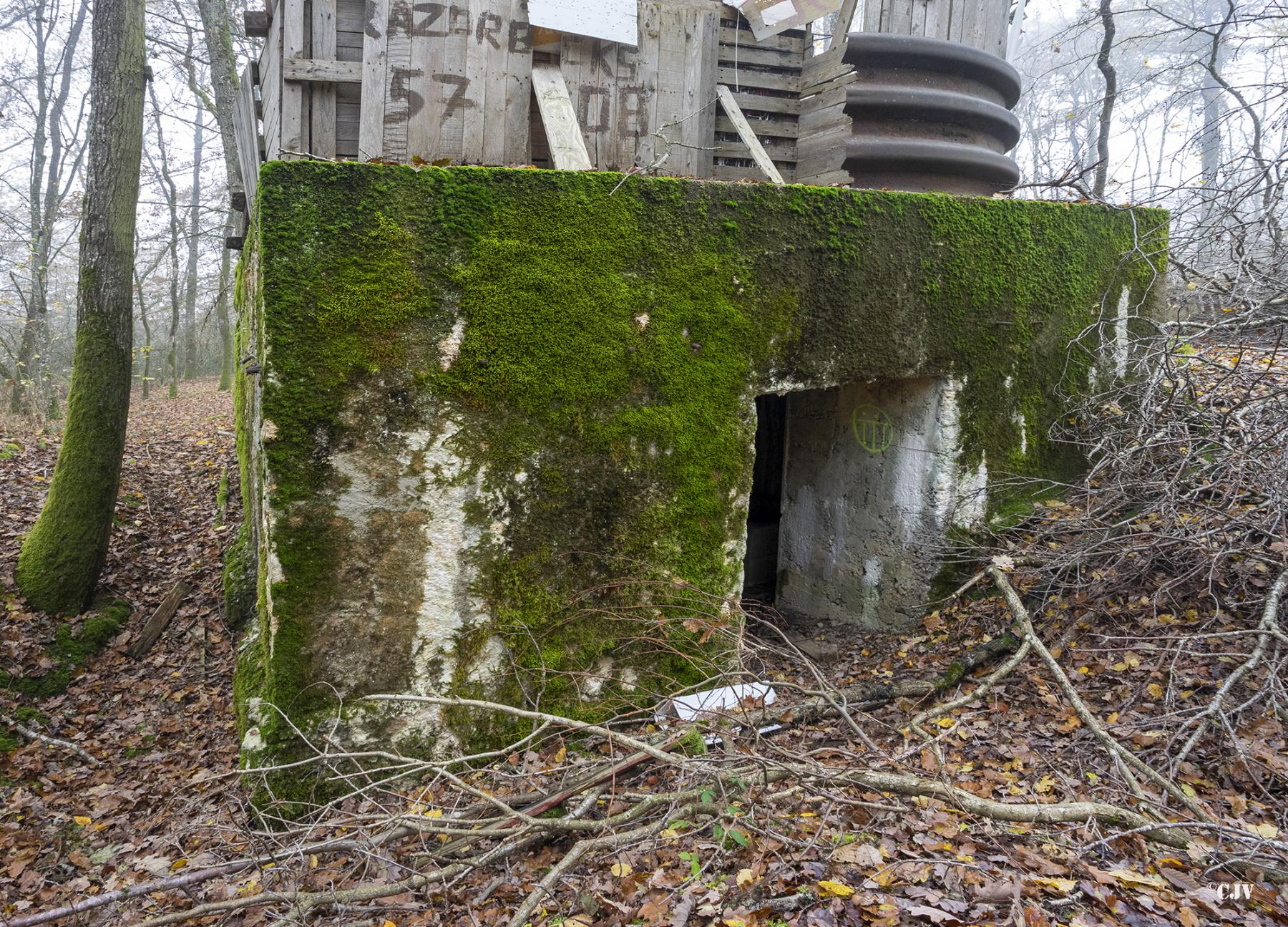 Ligne Maginot - CB287 - MEIEREI 3 - (Blockhaus pour canon) - L'entrée du matériel