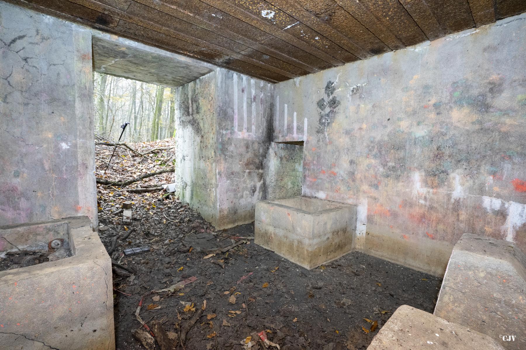 Ligne Maginot - CB287 - MEIEREI 3 - (Blockhaus pour canon) - Les entrées