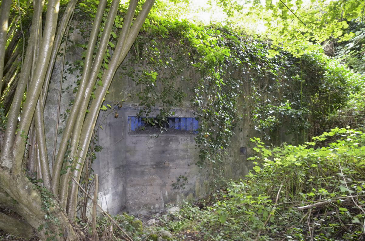 Ligne Maginot - LANGENHAEUSER - (Blockhaus pour arme infanterie) - 