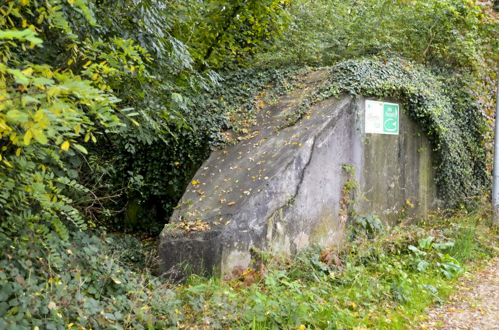 Ligne Maginot - HABERHAEUSER 1 - (Blockhaus pour arme infanterie) - Abri pour mitrailleuse