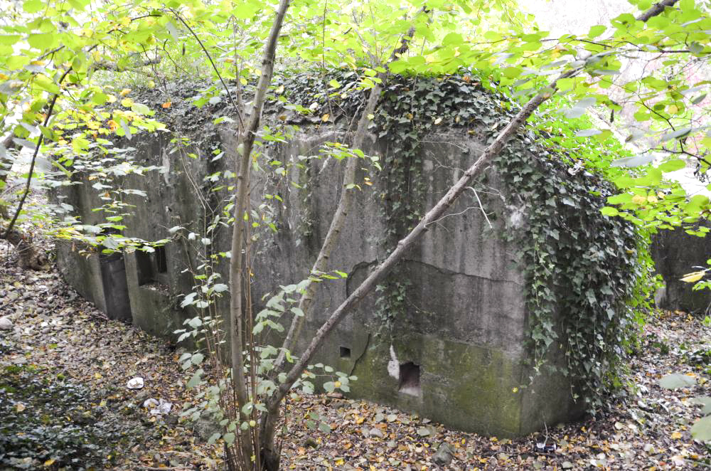 Ligne Maginot - HABERHAEUSER 1 - (Blockhaus pour arme infanterie) - Vue arrière, avec de gauche à droite : l'entrée sans porte, le créneau de défense rapprochée, une évacuation et la goulotte pour les grenades.
