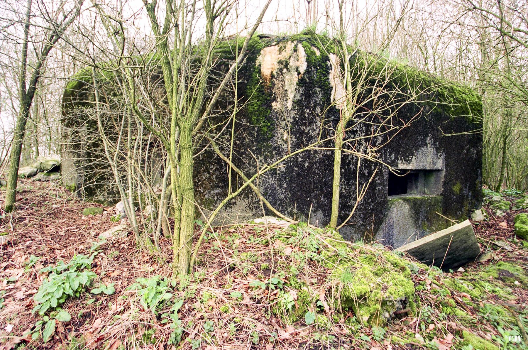 Ligne Maginot - B652 - REDOUTE DE ROCQ SUD - (Blockhaus pour canon) - Le créneau principal