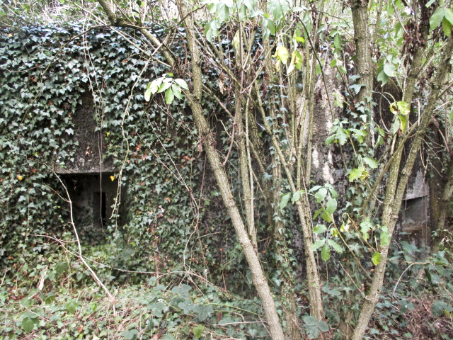 Ligne Maginot - B652 - REDOUTE DE ROCQ SUD - (Blockhaus pour canon) -  - Randonneur62