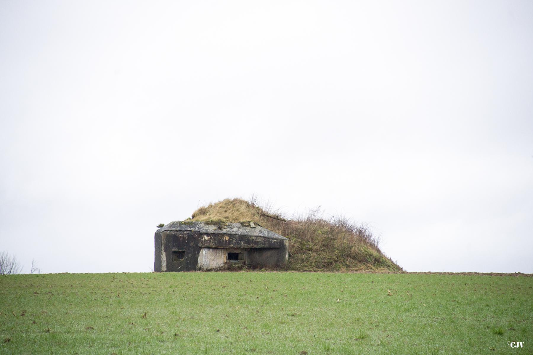 Ligne Maginot - B674 - PETIT BRANLEUX (Blockhaus pour canon) - 