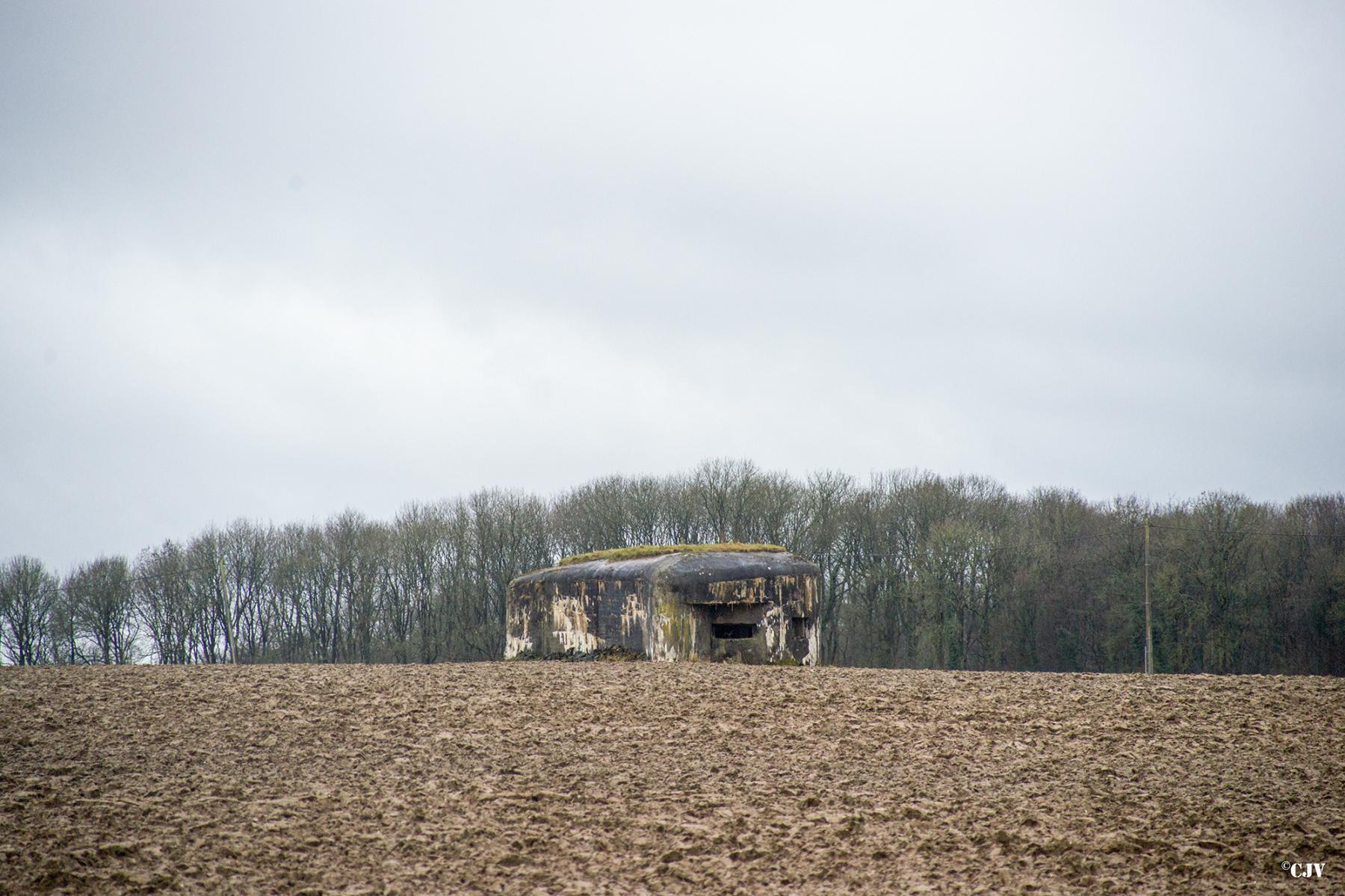 Ligne Maginot - BOIS MONSIEUR NORD - (Blockhaus pour canon) - 