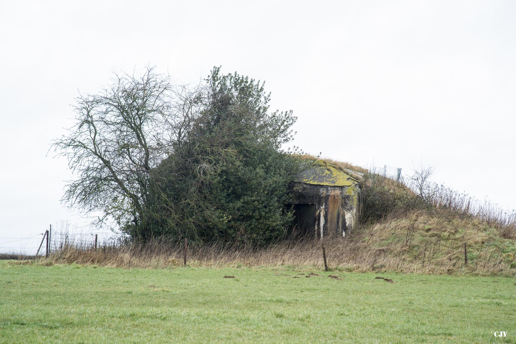 Ligne Maginot - B698 - BOUT D'EN-HAUT SUD - (Blockhaus pour canon) - 