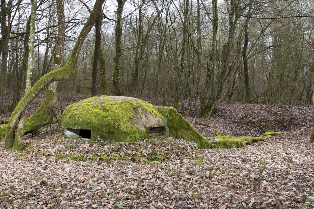 Ligne Maginot - CT73 - (Cuve pour arme d'infanterie) - Vue générale de l'observatoire. - www.arnaultjl-photo.com