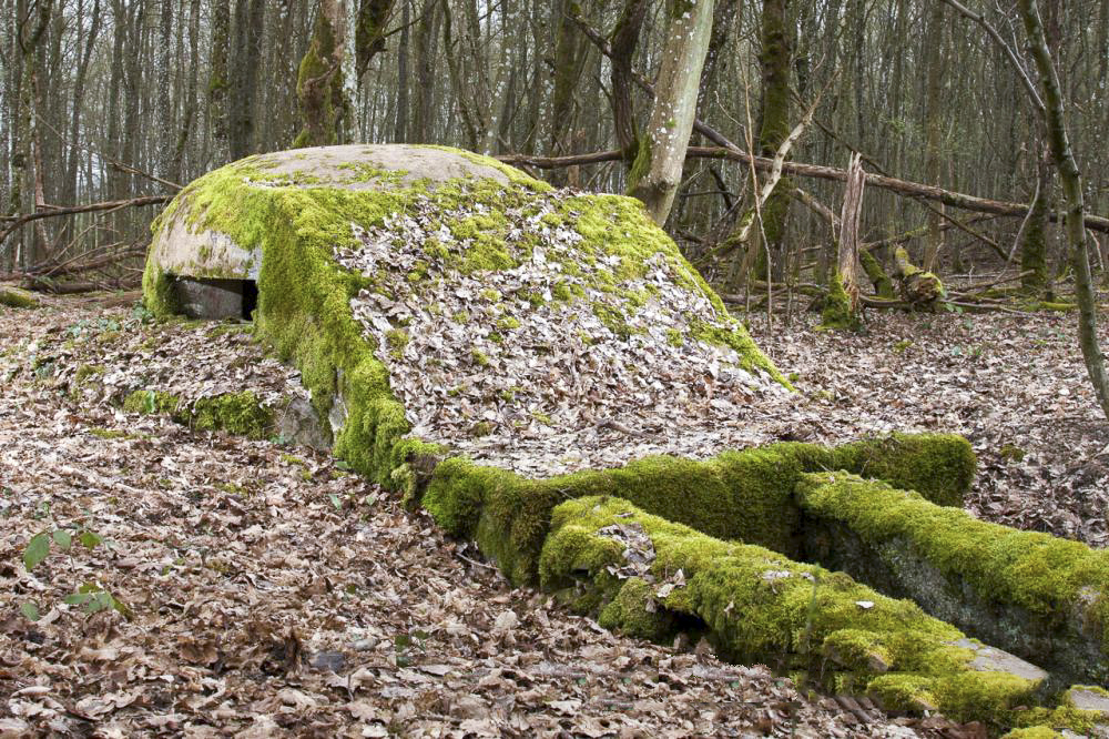 Ligne Maginot - CT73 - (Cuve pour arme d'infanterie) - Une autre vue. - www.arnaultjl-photo.com