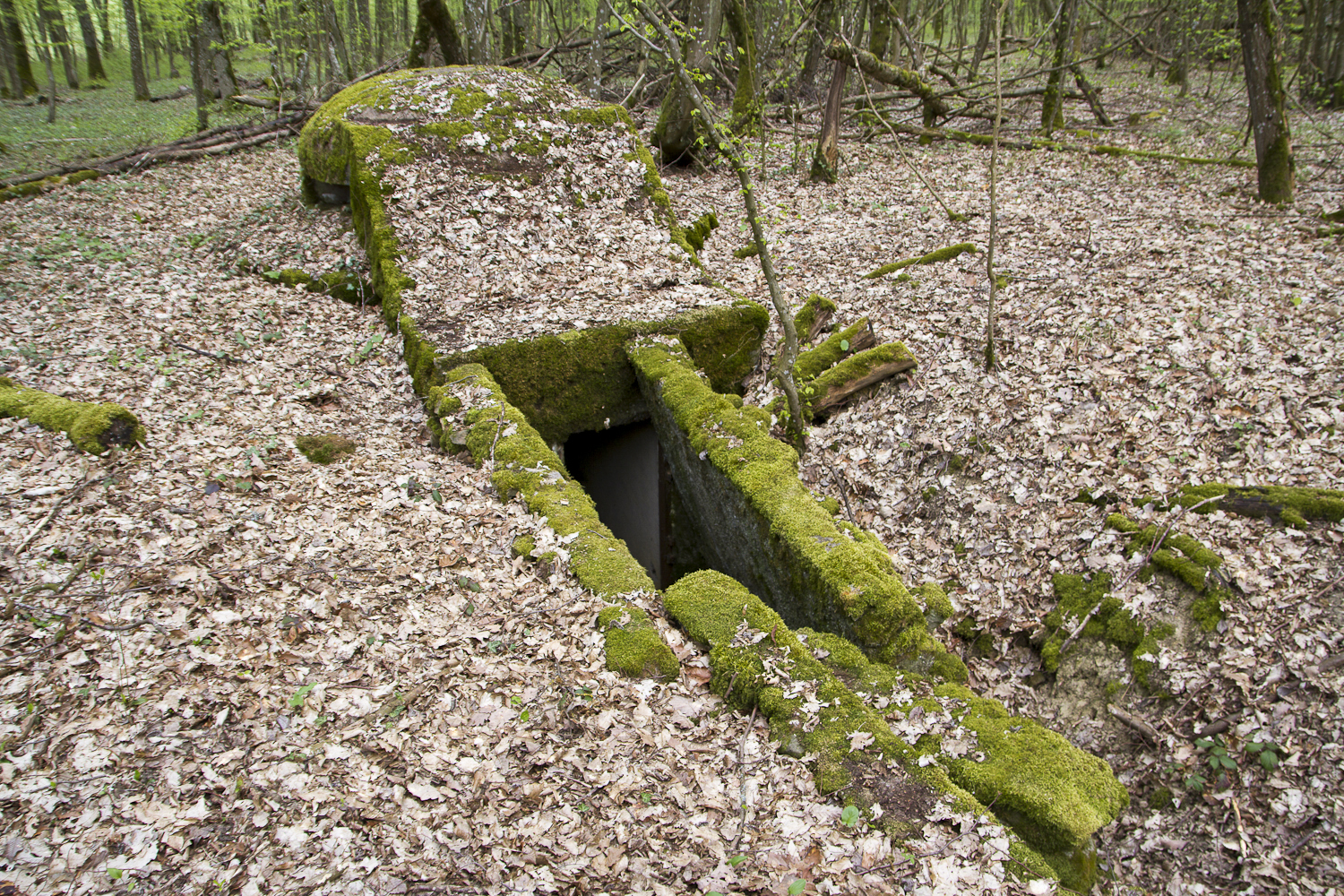 Ligne Maginot - CT73 - (Cuve pour arme d'infanterie) -  - Michel Teiten