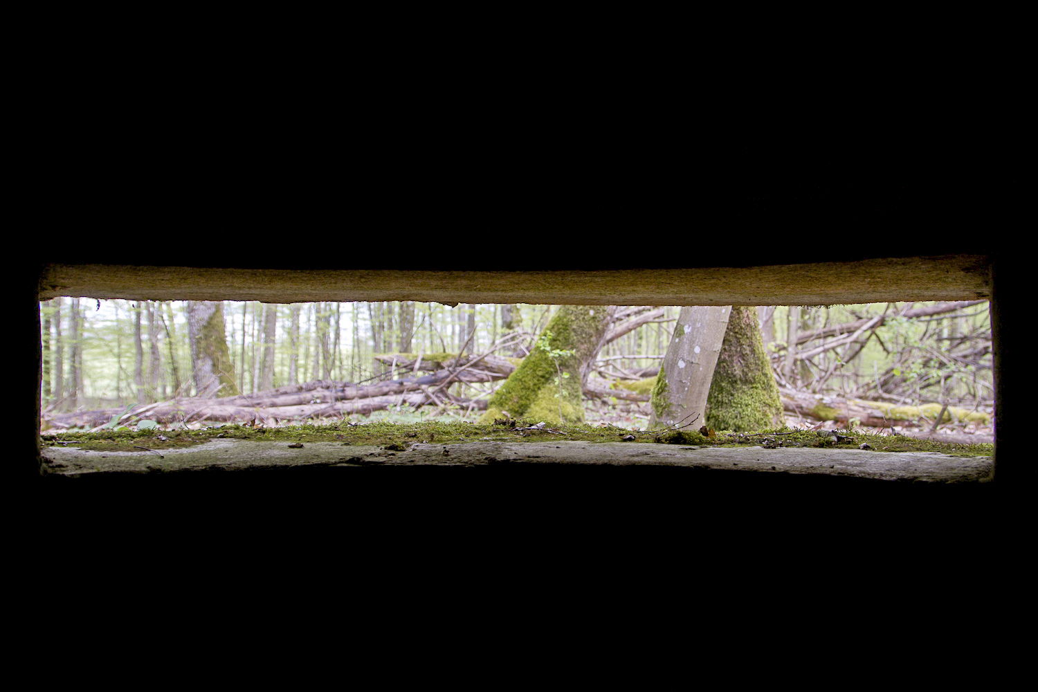 Ligne Maginot - CT73 - (Cuve pour arme d'infanterie) - Vue à travers le créneau principal de l'observatoire - Michel Teiten