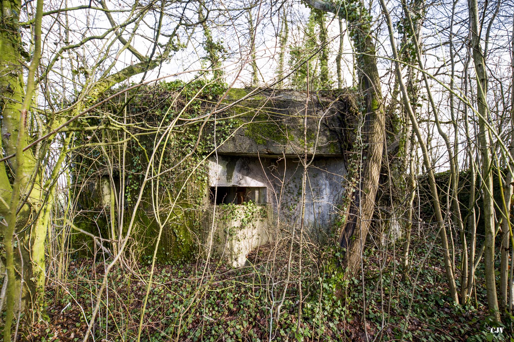 Ligne Maginot - B716 - LES HERELLES - (Blockhaus pour canon) - 