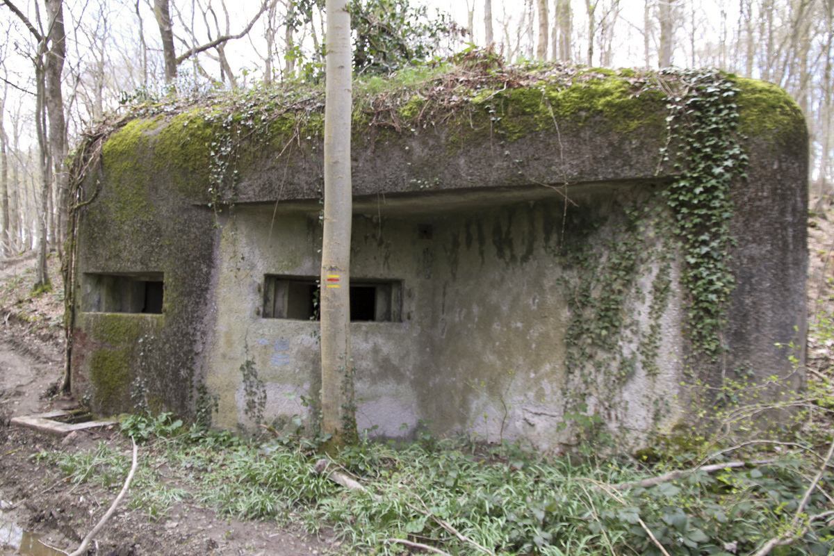 Ligne Maginot - B731 - TRIEUX D'ANICOLE - (Blockhaus pour canon) - 