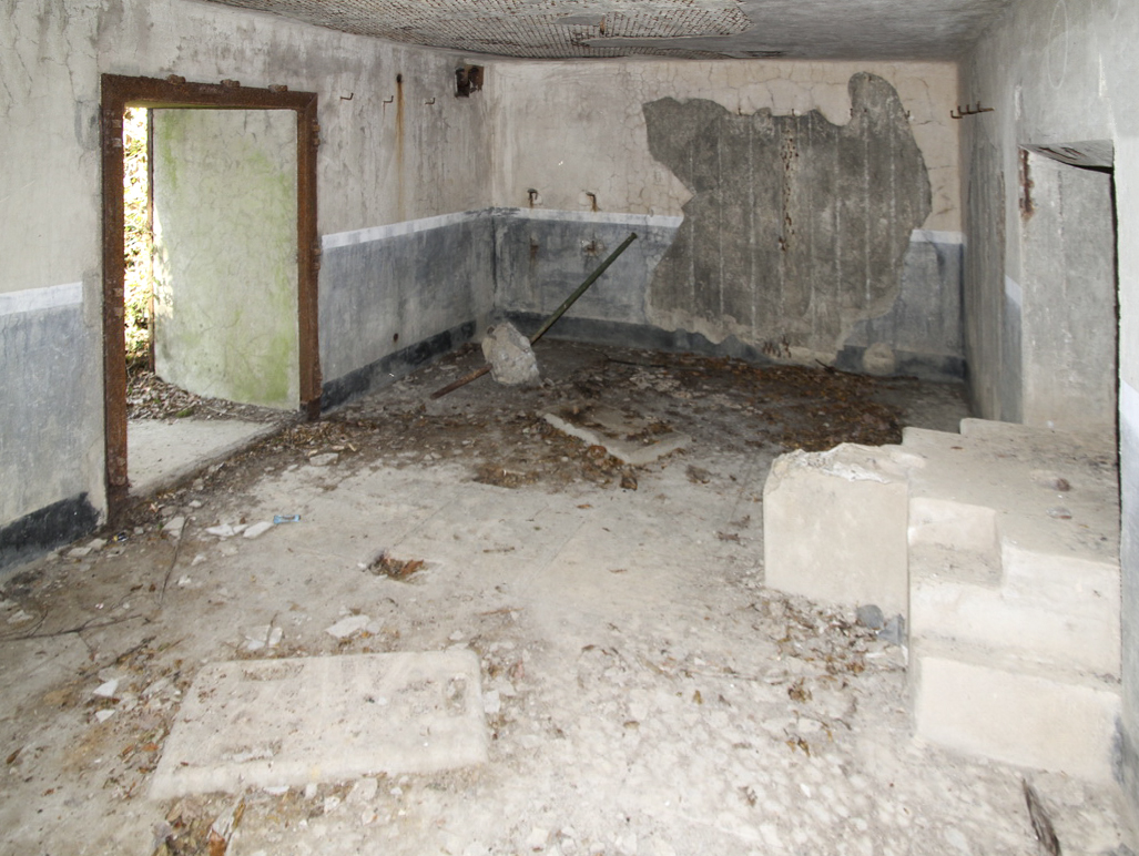 Ligne Maginot - B731 - TRIEUX D'ANICOLE - (Blockhaus pour canon) - 