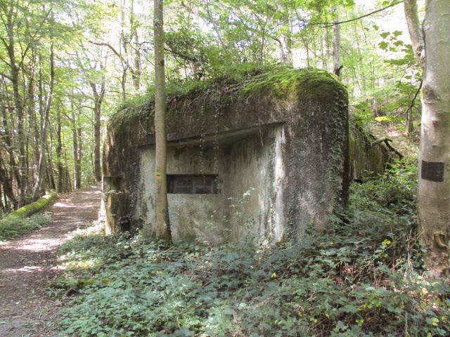 Ligne Maginot - B731 - TRIEUX D'ANICOLE - (Blockhaus pour canon) - 