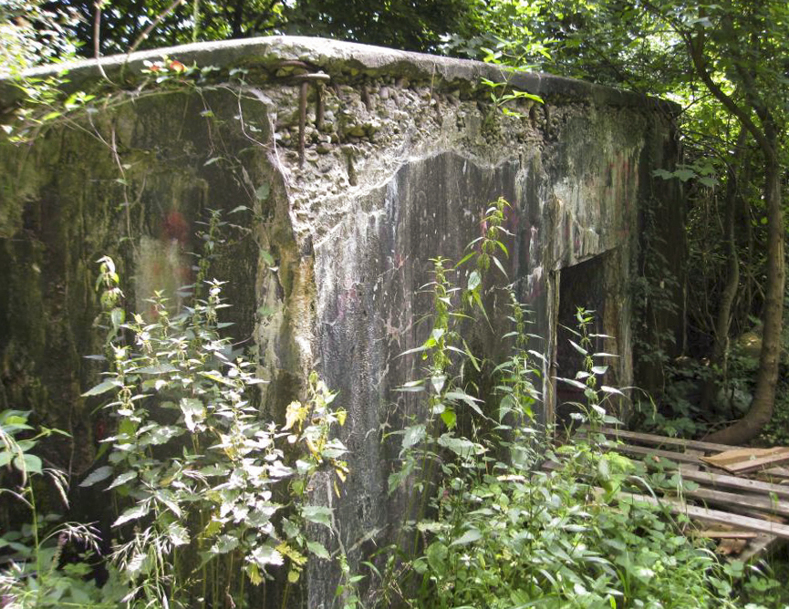 Ligne Maginot - DB128 - BOIS DE CRUSNES 3 - (Blockhaus pour canon) -  - Pruzsina Jérome
