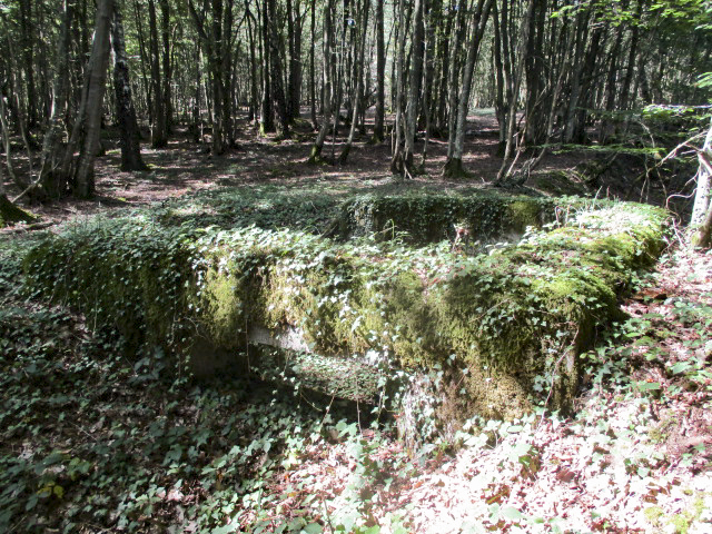 Ligne Maginot - B734 - BOIS DE CHATENIERE - (Cuve pour arme d'infanterie) - 