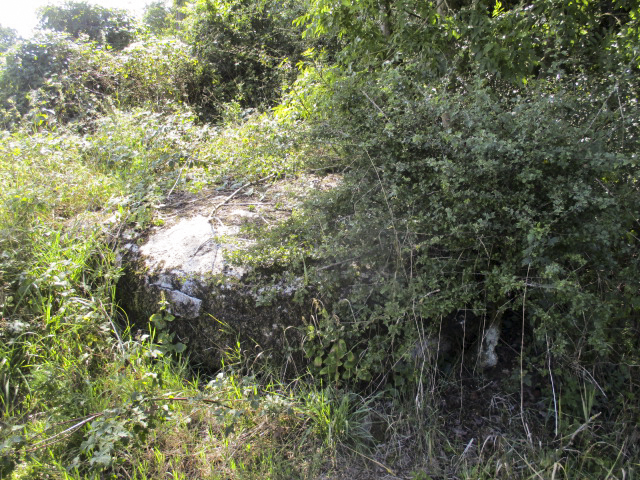 Ligne Maginot - B739 - PONT DE LA VILLE - (Blockhaus pour arme infanterie) - Photo prise depuis le haut du remblai de la la voie verte de l'Avesnois.