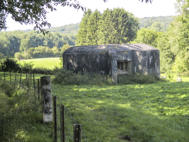 Ligne Maginot - B742 - FONTAINE JACQUOT - (Blockhaus pour canon) - Photo prise depuis e chemin de terre longeant le pré clôturé.