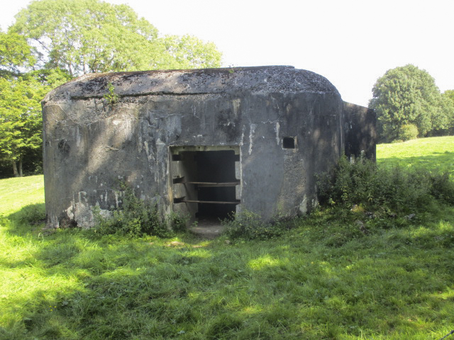 Ligne Maginot - B742 - FONTAINE JACQUOT - (Blockhaus pour canon) - Blockhaus situé dans un pré clôturé.