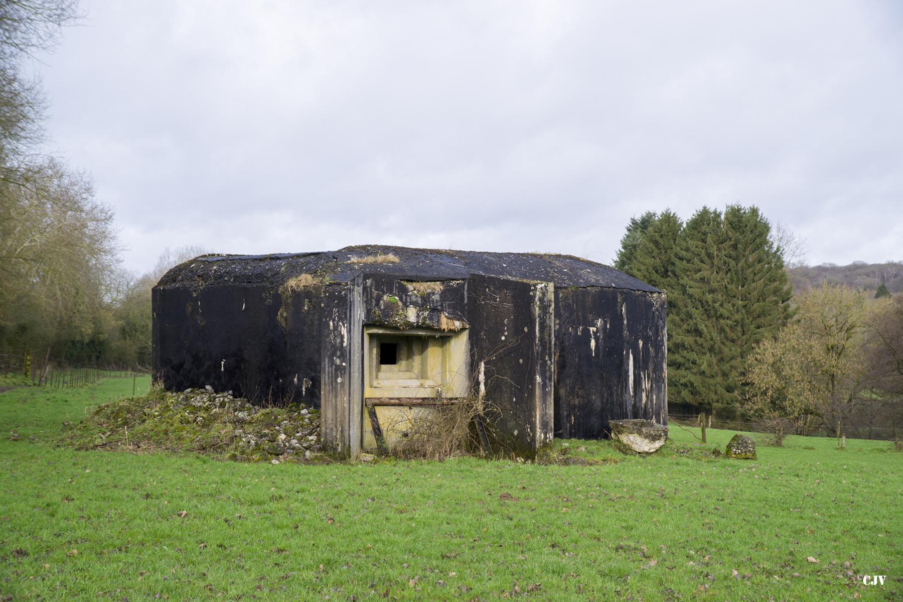 Ligne Maginot - B742 - FONTAINE JACQUOT - (Blockhaus pour canon) - 