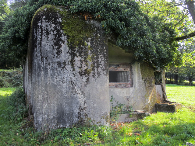 Ligne Maginot - B746 - CROIX DE TRELON EST - (Blockhaus pour canon) -  - Randonneur62
