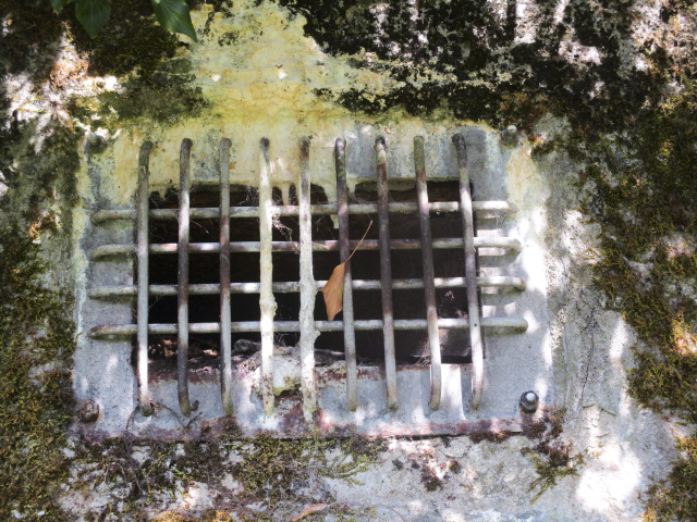 Ligne Maginot - B746 - CROIX DE TRELON EST - (Blockhaus pour canon) -  - Randonneur62