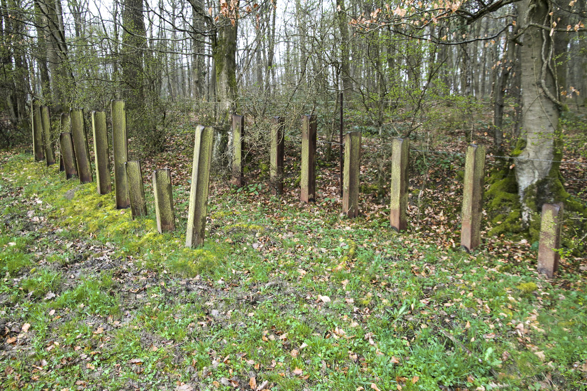 Ligne Maginot - B746 - CROIX DE TRELON EST - (Blockhaus pour canon) - Restes du réseau antichar au dessus du bloc - Alain Perouffe