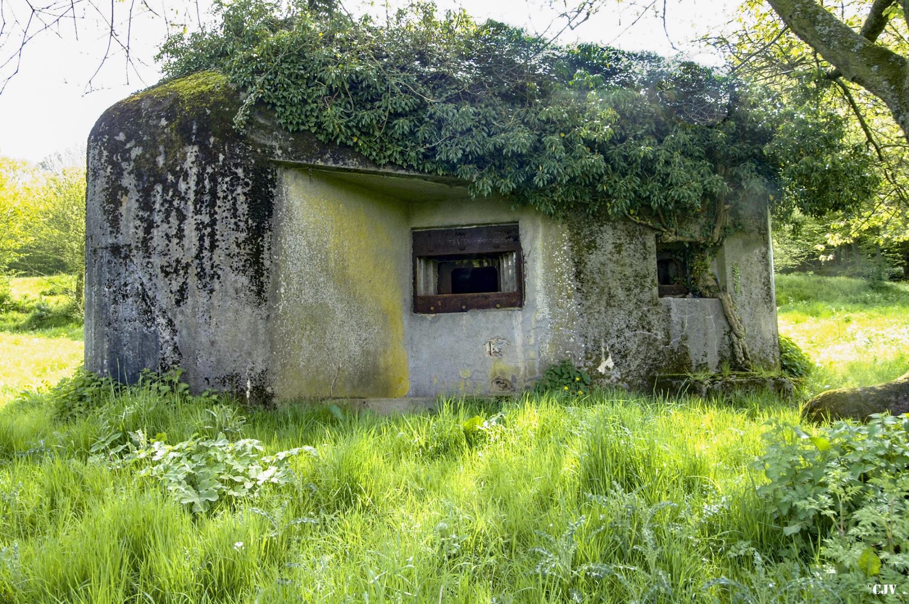 Ligne Maginot - B746 - CROIX DE TRELON EST - (Blockhaus pour canon) -  - Caspar Vermeulen