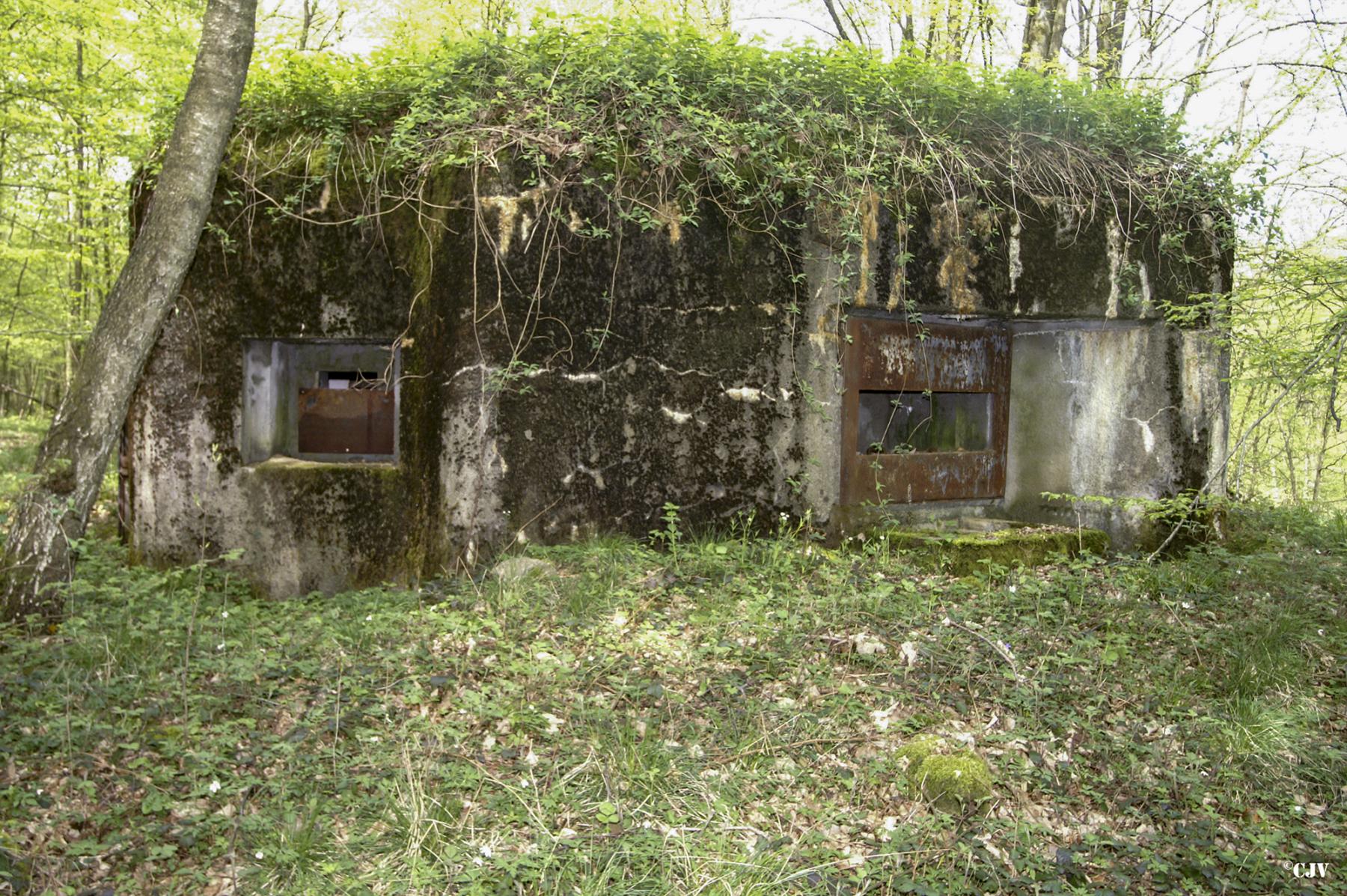 Ligne Maginot - B750 - SAINTE HILTRUDE - (Blockhaus pour canon) - 