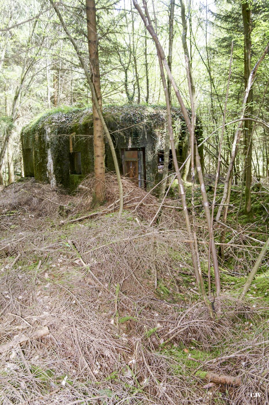 Ligne Maginot - B751 - BEAU CHENE - (Blockhaus pour canon) -  - Caspar Vermeulen
