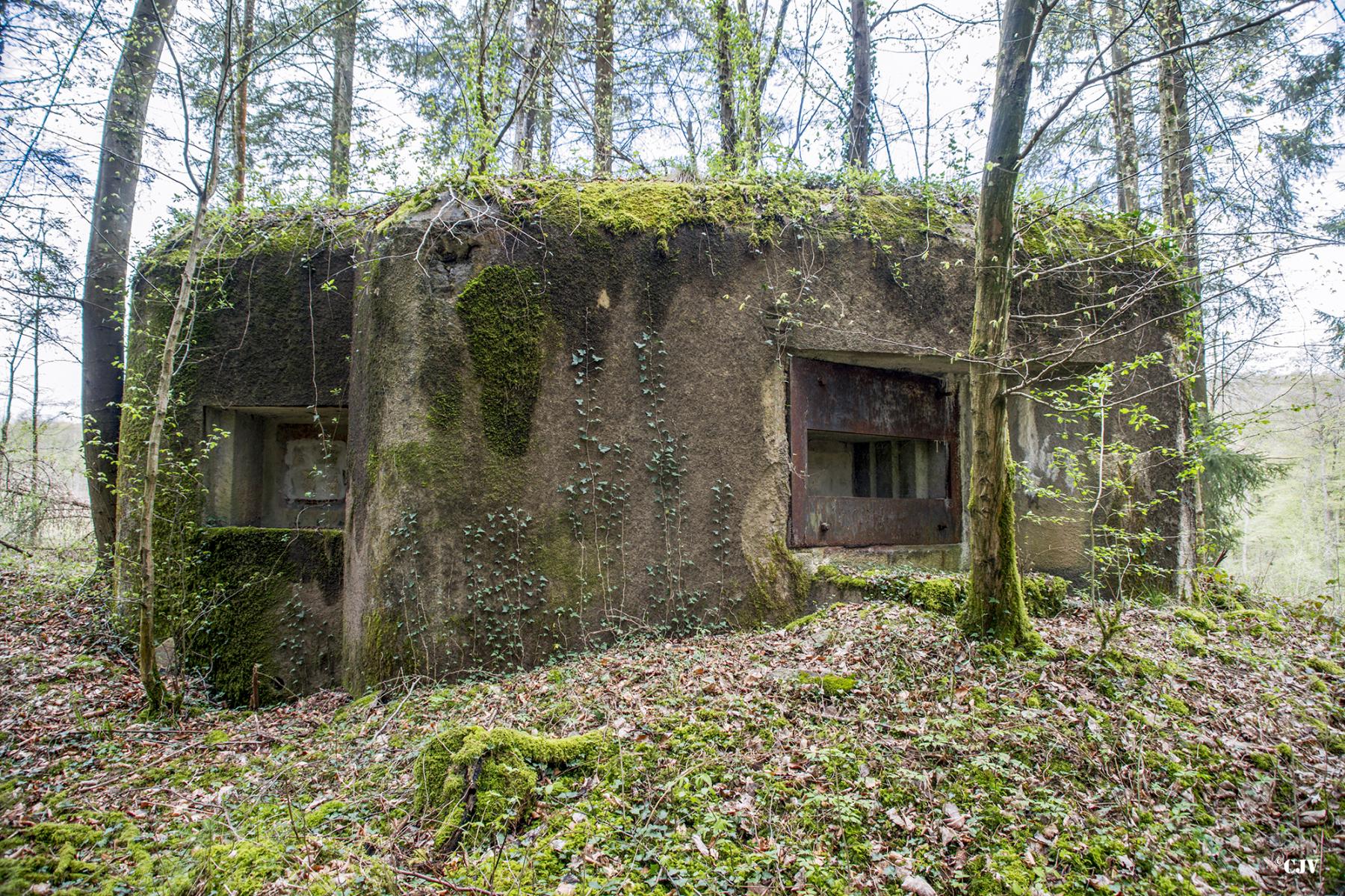 Ligne Maginot - B751 - BEAU CHENE - (Blockhaus pour canon) -  - Lia VERMEULEN