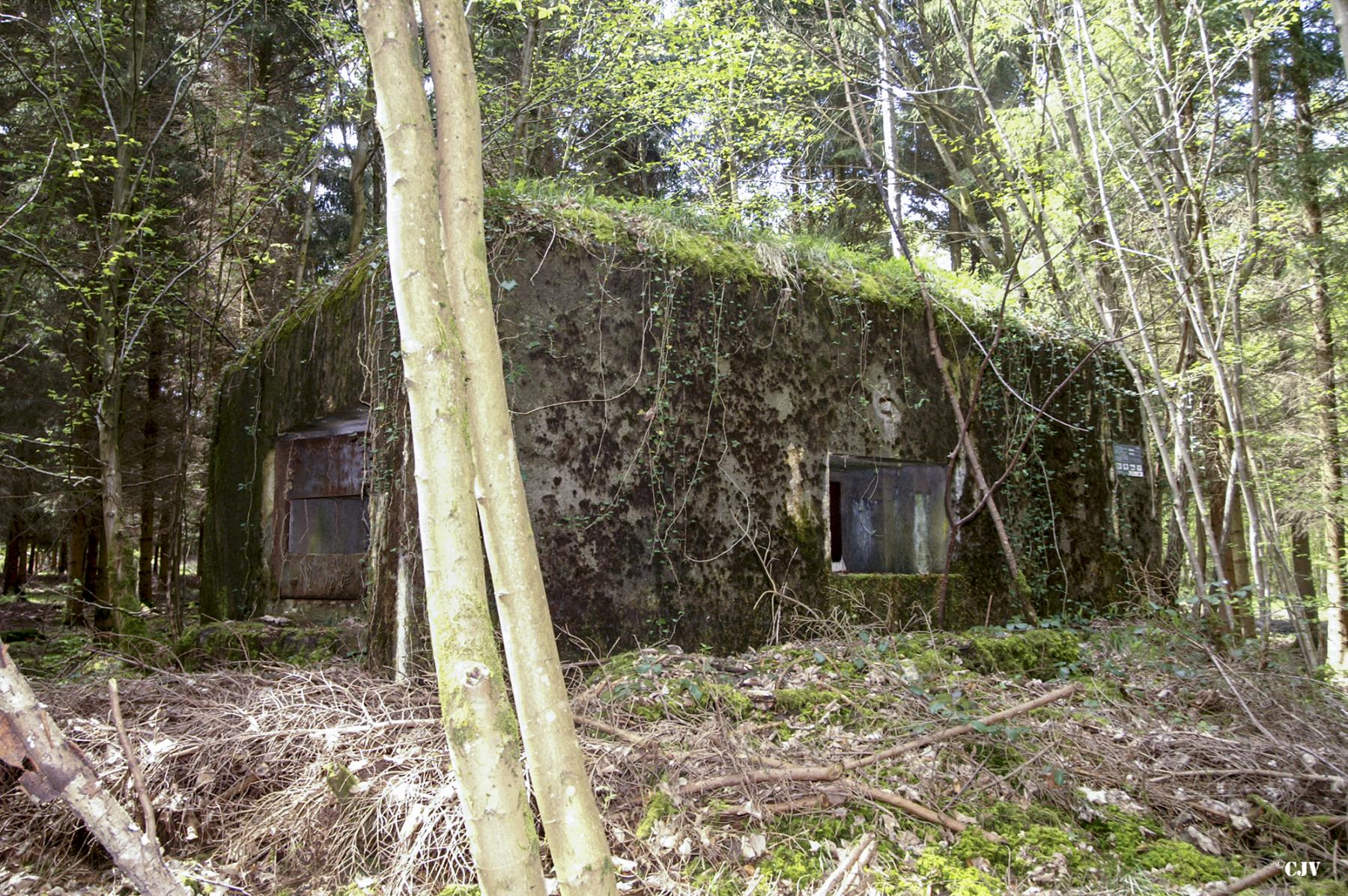 Ligne Maginot - B751 - BEAU CHENE - (Blockhaus pour canon) - 