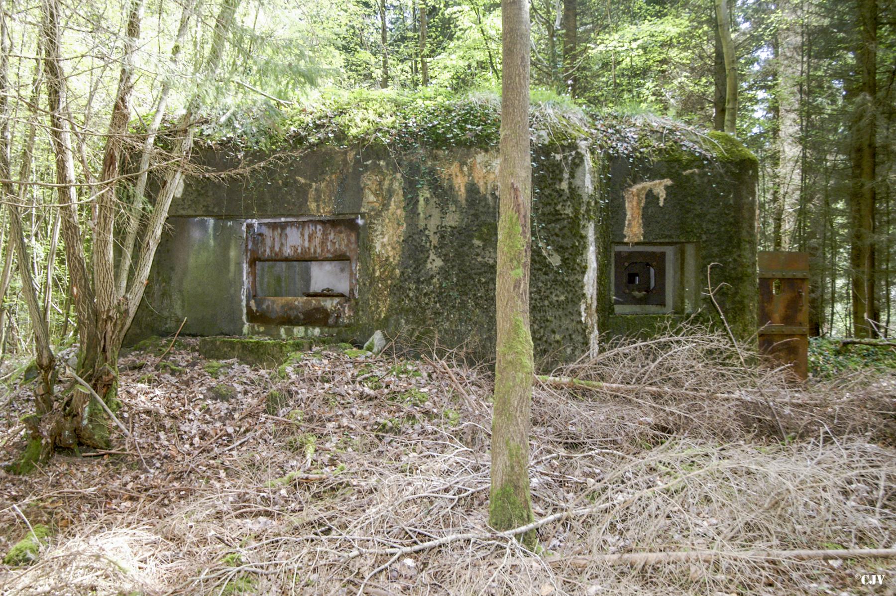 Ligne Maginot - B751 - BEAU CHENE - (Blockhaus pour canon) - 