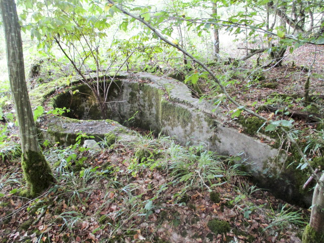 Ligne Maginot - T570 - ROUTE D'EPPE-SAUVAGE - (Cuve pour arme d'infanterie) - 