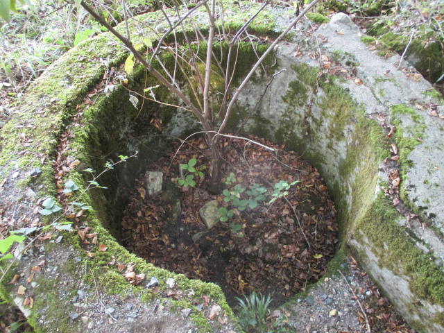 Ligne Maginot - T570 - ROUTE D'EPPE-SAUVAGE - (Cuve pour arme d'infanterie) - 