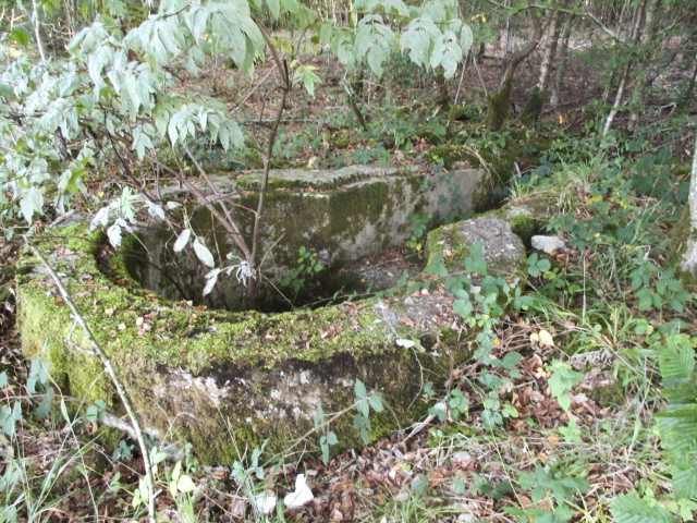 Ligne Maginot - T570 - ROUTE D'EPPE-SAUVAGE - (Cuve pour arme d'infanterie) - 
