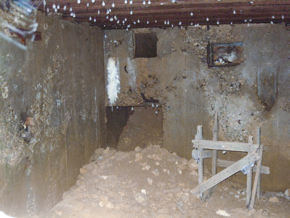 Ligne Maginot - DB132 - BEAUSEJOUR 1 - (Blockhaus pour arme infanterie) - On peut y voir les nouveaux propriétaires des lieux - Pruzsina Jérome