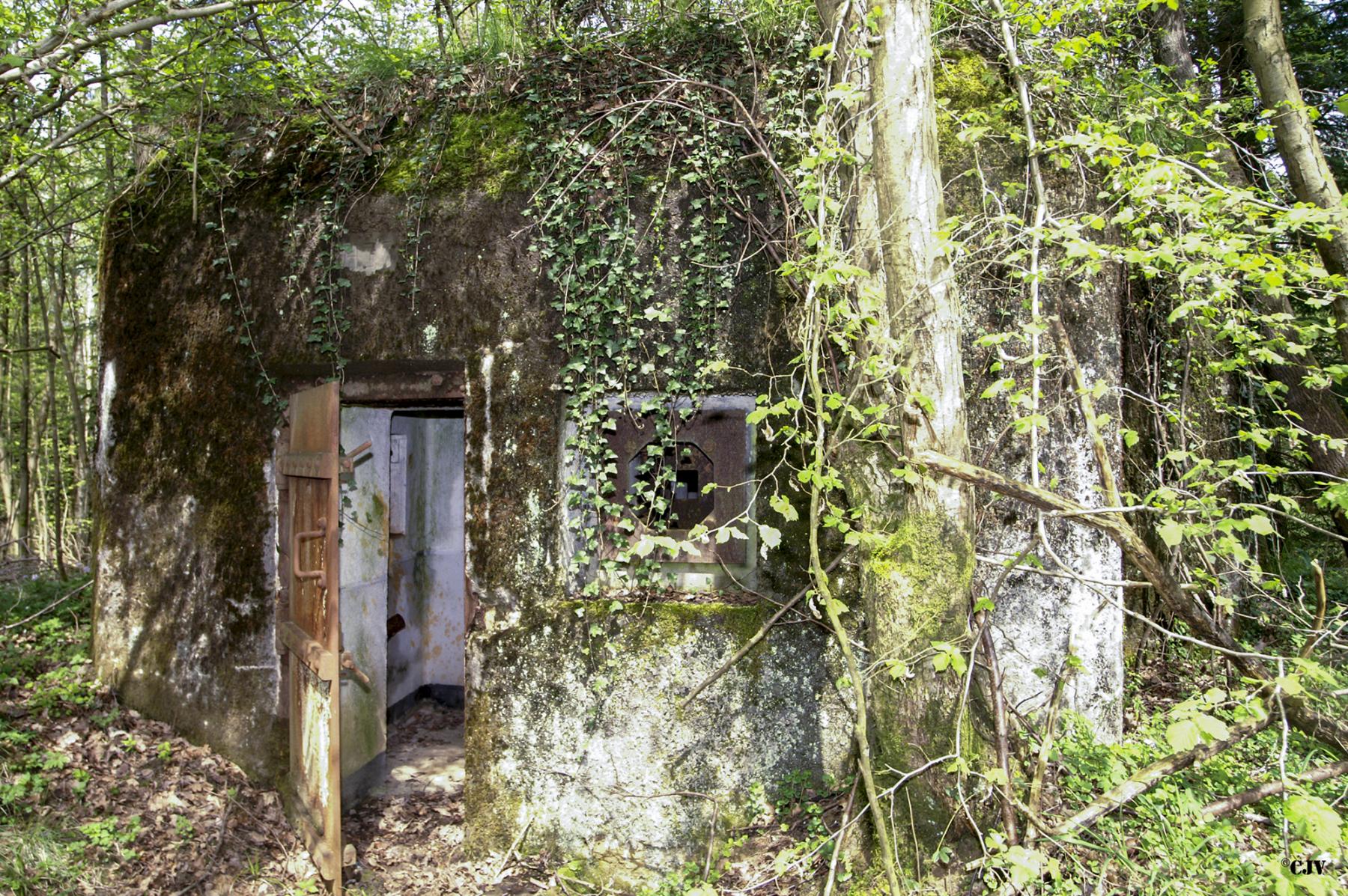 Ligne Maginot - B754 - FOND SAINT JEAN - (Blockhaus pour canon) -  - Caspar Vermeulen