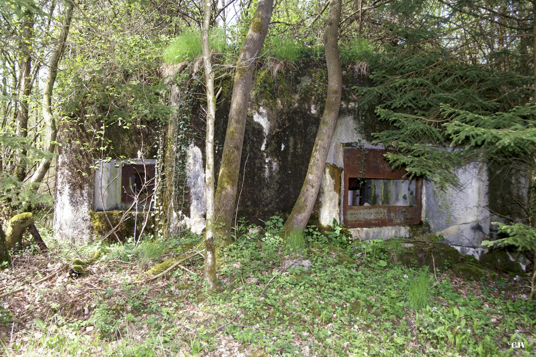 Ligne Maginot - B754 - FOND SAINT JEAN - (Blockhaus pour canon) -  - Caspar Vermeulen
