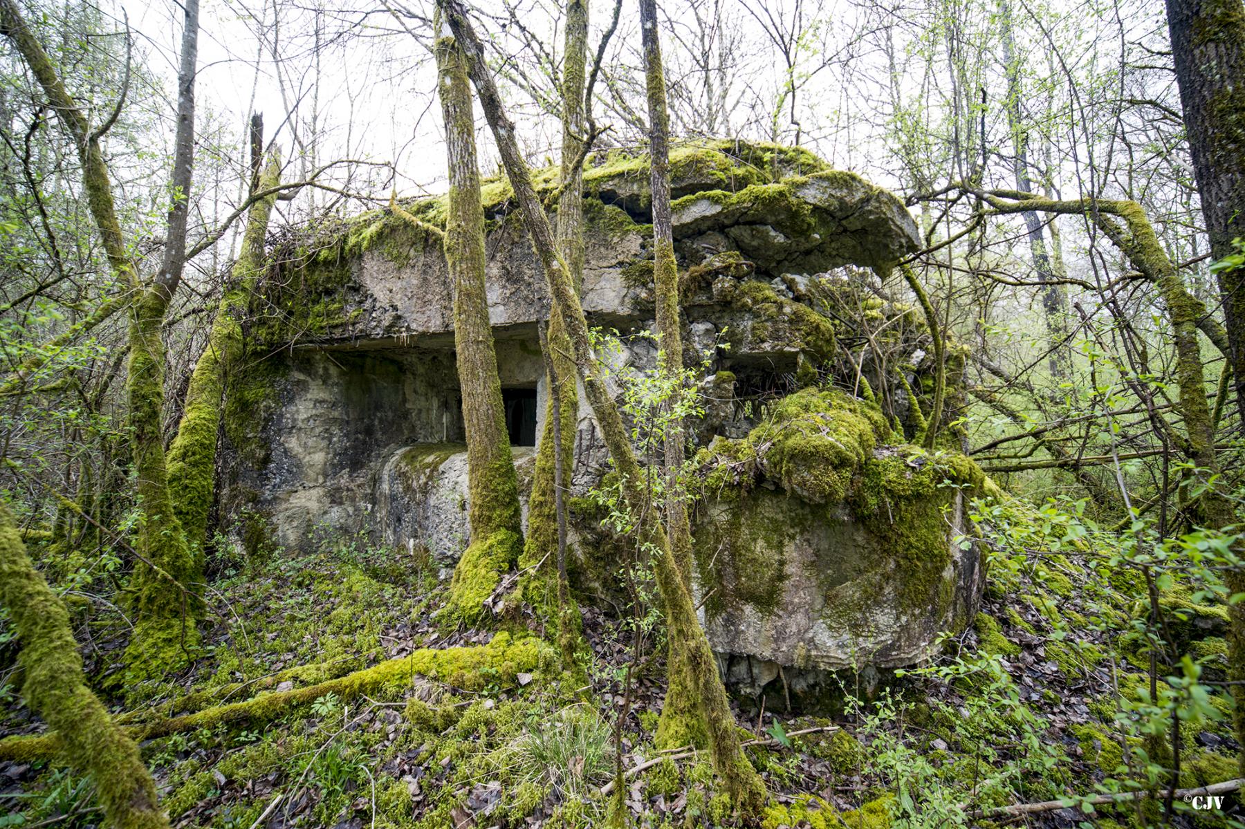 Ligne Maginot - B755 - ROUTE DE WILLIES - (Blockhaus pour canon) - 