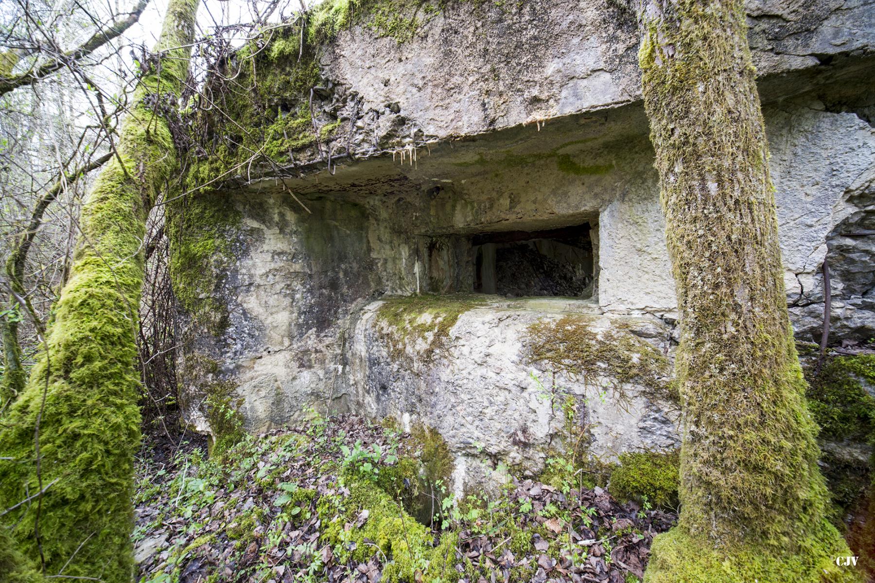 Ligne Maginot - B755 - ROUTE DE WILLIES - (Blockhaus pour canon) - 