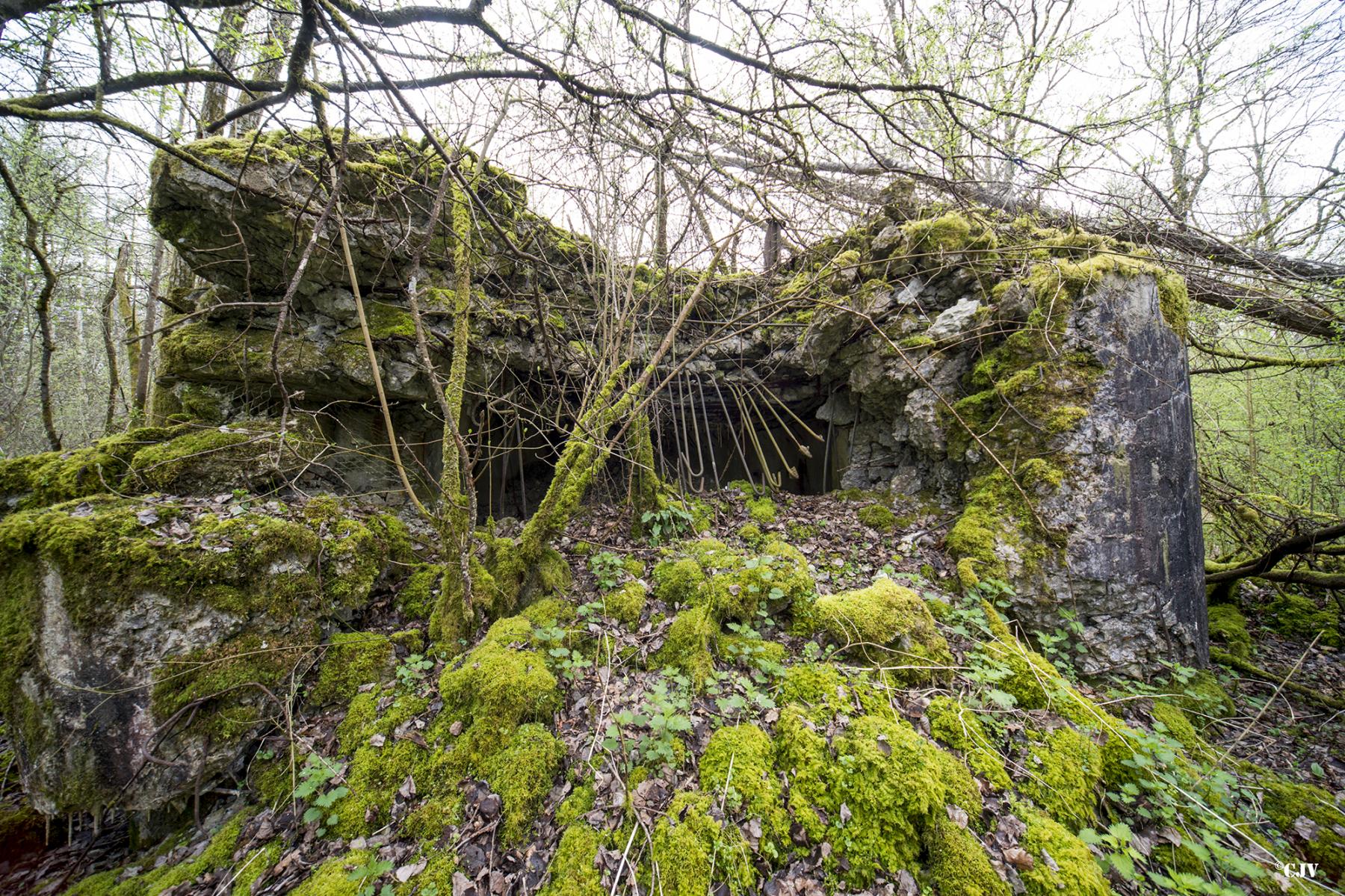 Ligne Maginot - B755 - ROUTE DE WILLIES - (Blockhaus pour canon) - 