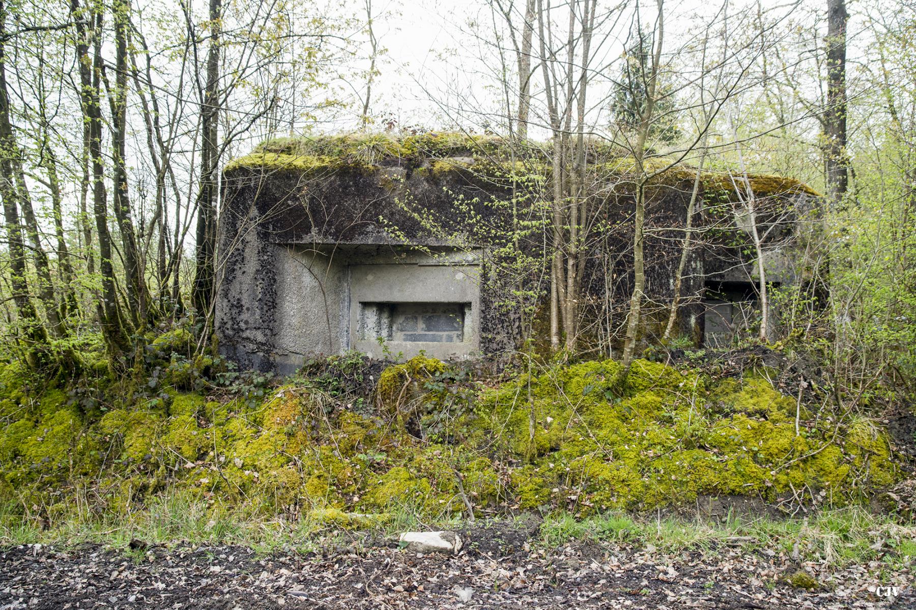 Ligne Maginot - B759 - CARREFOUR HOLSTEIN - (Blockhaus pour canon) - 