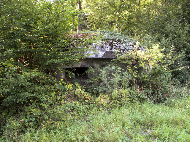 Ligne Maginot - B764 - LE FOURNEAU - (Blockhaus pour canon) -  - Randonneur62