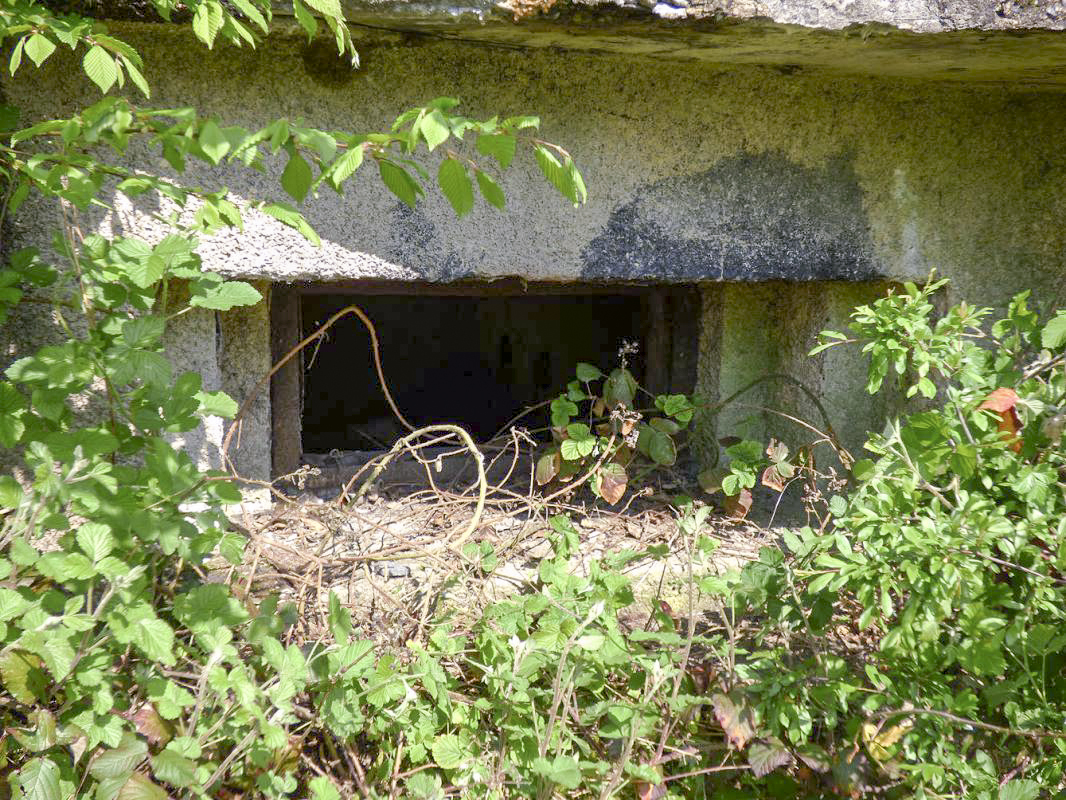 Ligne Maginot - B764 - LE FOURNEAU - (Blockhaus pour canon) - 