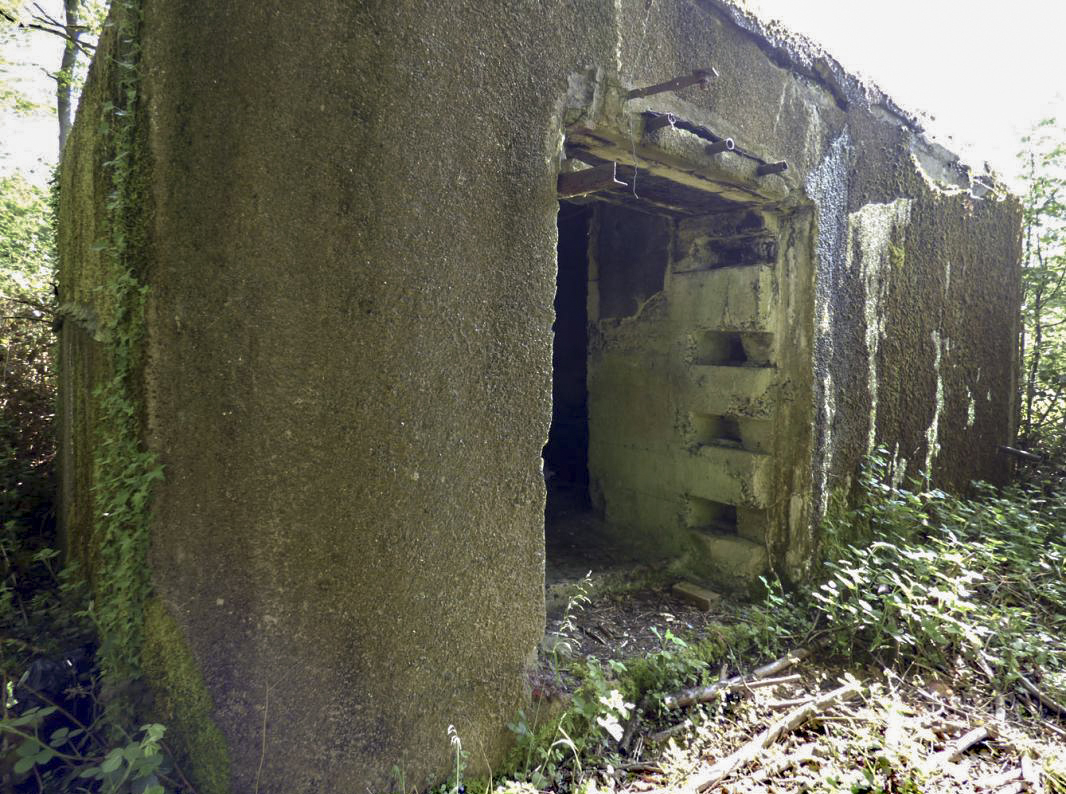 Ligne Maginot - B764 - LE FOURNEAU - (Blockhaus pour canon) - 